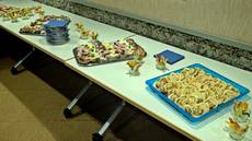 Diakonisches Werk Hochrhein, Verbandsversammlung am 24.01.204