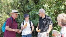 Ausflug Ruheständler ins Elsass